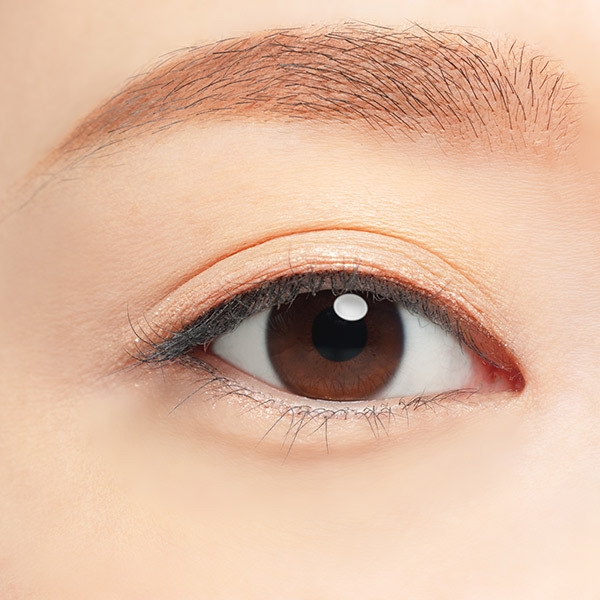 マルチカラーバリエーション メタリック / チャコット・コスメティクス