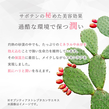 マイベストカラーファンデーション 04