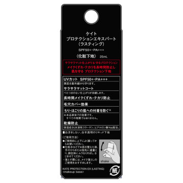 プロテクションエキスパート(ラスティング) 02