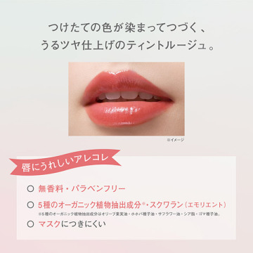 ワンデイ アートメイク ルージュ 04