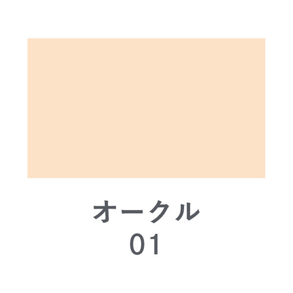 エクスボーテ　ビジョンファンデーション ベージュ01 6本 エクスボーテ ビジョンファンデーション シルク レフィル エクスボーテ