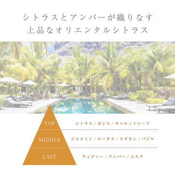 ファブリックスプレー シアラデラ2450 02