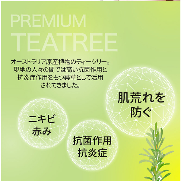 M☆　クオリティファースト　ダーマレーザー TEATREE100 ダーマレーザー* ショットX スーパーTEATREE100＋CICAシート