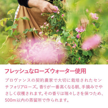 ローズ ハンドクリーム 05