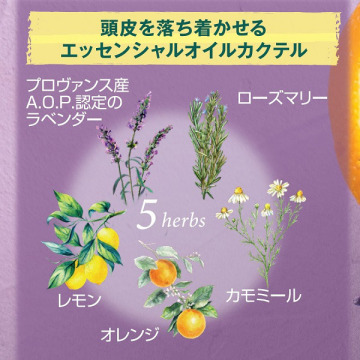 ファイブハーブス バランシングコンディショナー 02