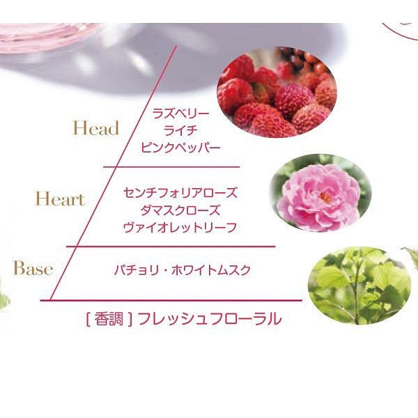 専用未使用 ロクシタン ROSE シャワージェル 500ml+リフィル500ml Amazon.co.jp: ロクシタン(L'OCCITANE) ローズ シャワージェル