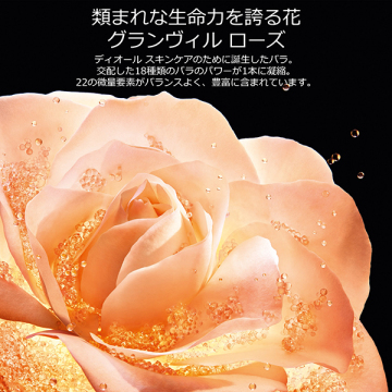 プレステージ ラ クレーム N(リフィル) 05