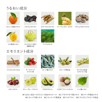 Wトリートメント オイルインクリーム 04