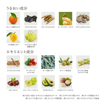Wトリートメントオイル 04