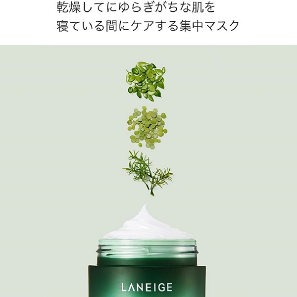 シカスリーピングマスク / 60mL / 本体 1