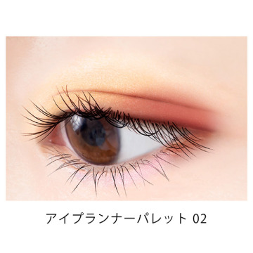 アイプランナーセット パレット02(サンムード)&F02(ナツメグ) 02