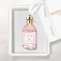 アクア アレゴリア グラナダ サルヴィア セット / スペシャルアイテム / 75ml