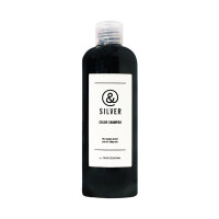 シルバーシャンプー &SILVER / 本体 / 240ml / ベリー