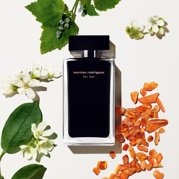 フォーハー ミニ デュオセット I / 20mL+20mL