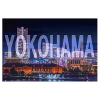 GO TRAVEL 15色アイシャドウパレット / 10 ヨコハマ hi Yokohama / 17.25g