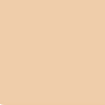 インスタント コレクター ペン 02