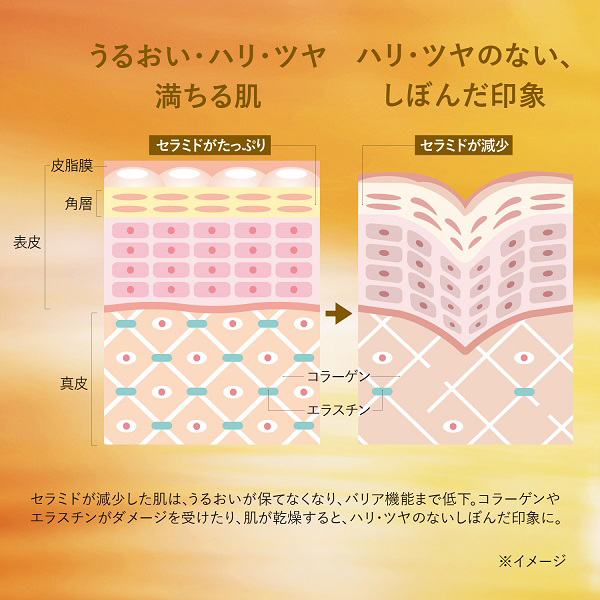 イモーテル ディヴァインインテンシヴオイル / ロクシタン(美容