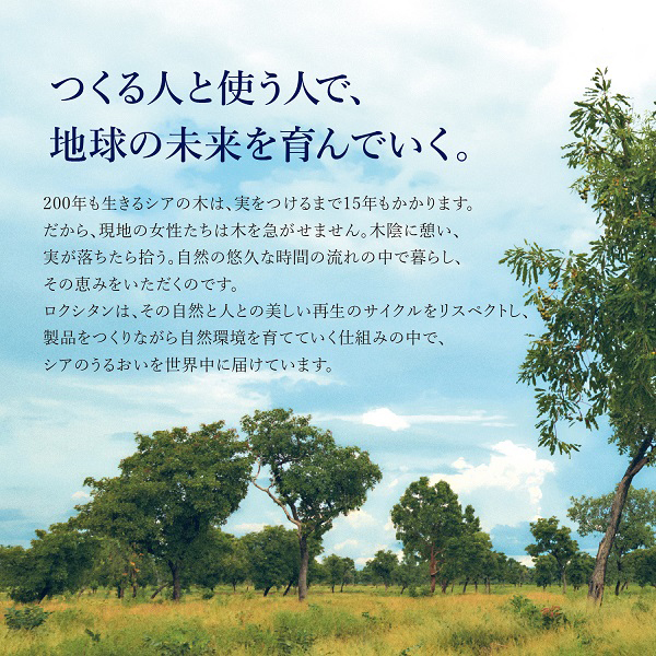 シア ネイルオイル / 7.5mL 1