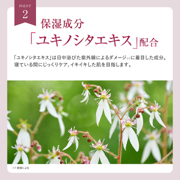 オーバーナイト ヴェールクリーム 04