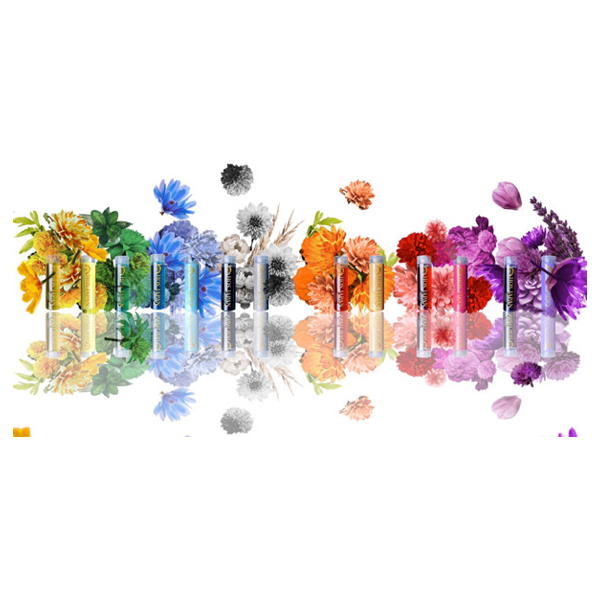 KIKIトリートメント / HOS.JAPAN(トリートメント, シャンプー