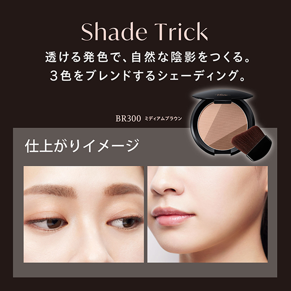シェード トリック / BR300 ミディアムブラウン / 8.5g / 無香料 1