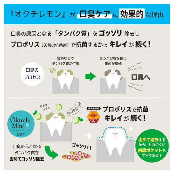 オクチミント / 5個パック(11ml×25本) / ミント 1