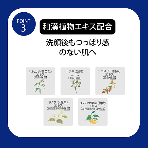 エッセンス ソープ / 雪肌精(洗顔石鹸, スキンケア・基礎化粧品