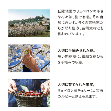 チェリーブロッサム ソフトハンドクリーム 05