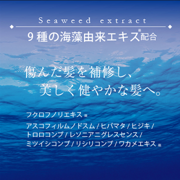 シュガーヘッドスクラブ 05