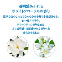 ☆新品超美品☆あじのさと下拵えパーフェクトセット　ホワイト パーフェクトホイップ スピーディー / SENKA(センカ)(洗顔フォーム