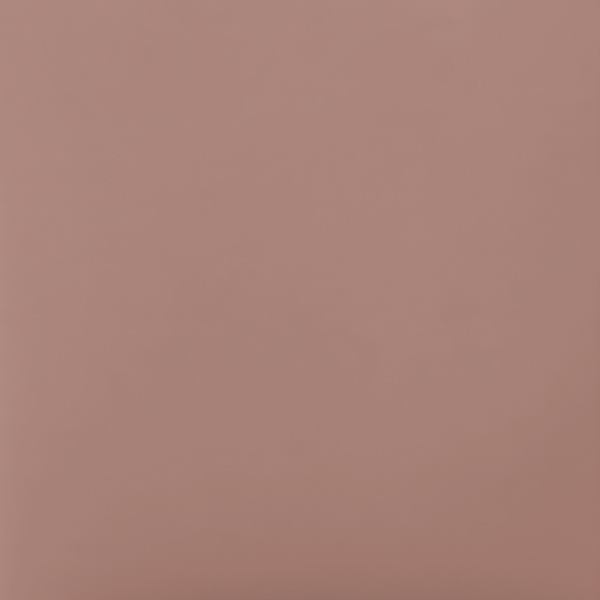 ザ ネイルポリッシュ + / 012S Foggy Rose / 12mL 1