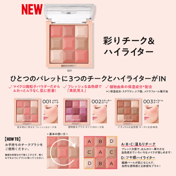 ブラッシュ & イルミネーター パレット ブラシ付き 05