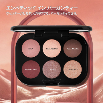 コネクト イン カラー アイシャドウ パレット x 6 03