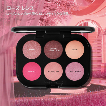 コネクト イン カラー アイシャドウ パレット x 6 03