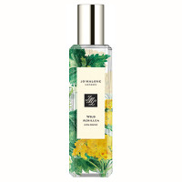 ワイルド アキレア コロン / 30mL