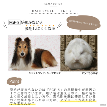 SCALP LOTION 04