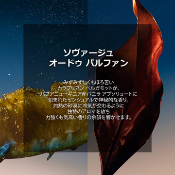 ソヴァージュ オードゥ パルファン リフィル 04