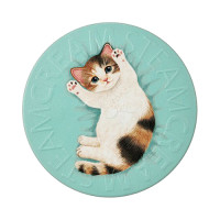 スチームクリーム / 本体 / 1446 ねころび三毛 / 75g