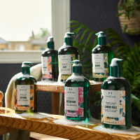 数量限定】シャワージェル BR / THE BODY SHOP(ボディソープ, ボディ