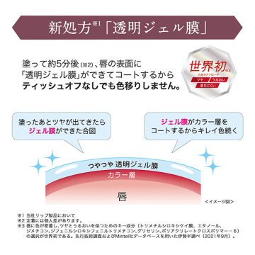 リップアーマー 02