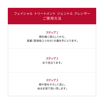 ピテラ(TM) ユース エッセンシャル セット 02