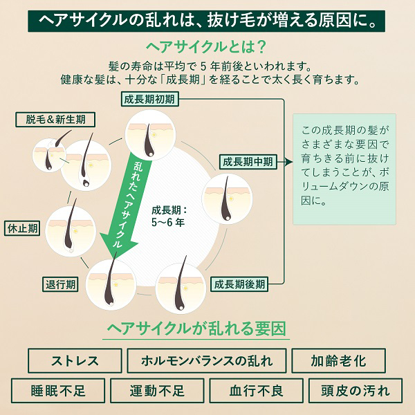 薬用 メディカル アンチヘアロスセラム / 50mL / 本体 1