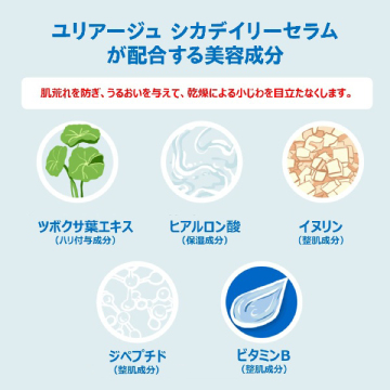 シカデイリーセラム 04