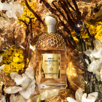 香水(女性用) GUERLAIN Forte Bosca Vanilla アクア アレゴリア フォルテ ボスカ ヴァニラ / ゲラン(香水, 香水