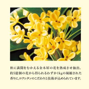 オスマンサス メルティング ハンドクリーム 05