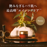 N organic Plenum ディープホールド クリーム / N organic(エヌ