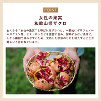 N organic Plenum ディープホールド クリーム / N organic(エヌ