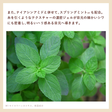 N organic Plenum リンクルダイレクト エッセンス 05