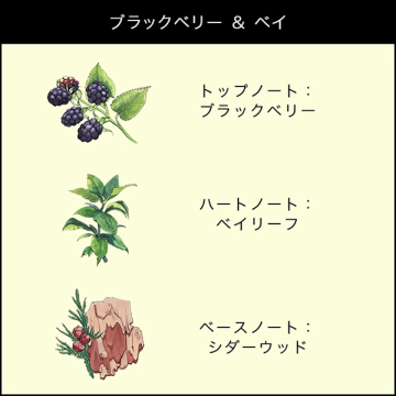 ヴァーダント & クール ミニ ラグジュアリー トリオ 03