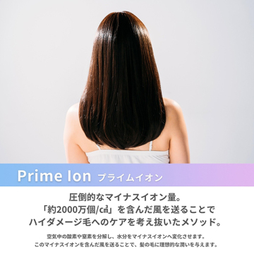 cadre hair dryer 05